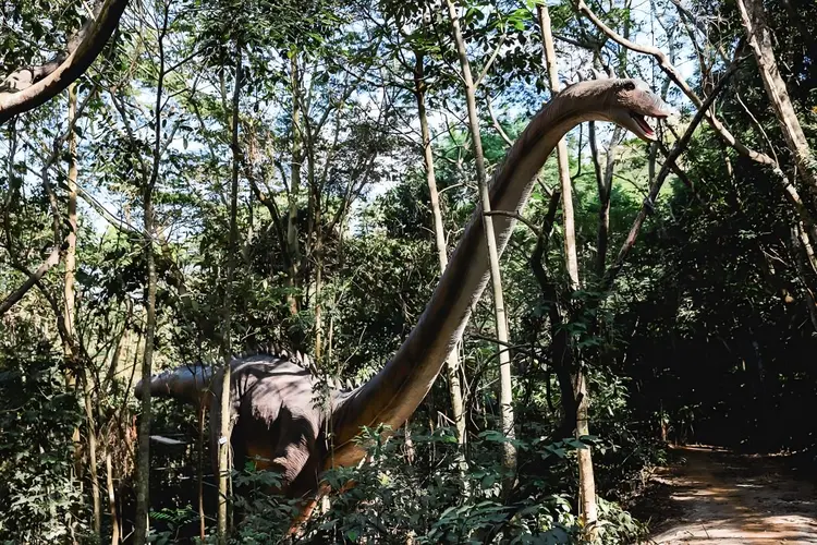 Terra dos Dinos: dinossauros ficam no meio da floresta (Divulgação/Divulgação)