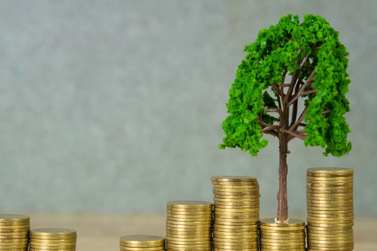 Tree growing on pile of golden coins, growth business finance investment and Corporate Social Responsibility or CSR practice and sustainable development concept idea. (pookpiik/Getty Images)