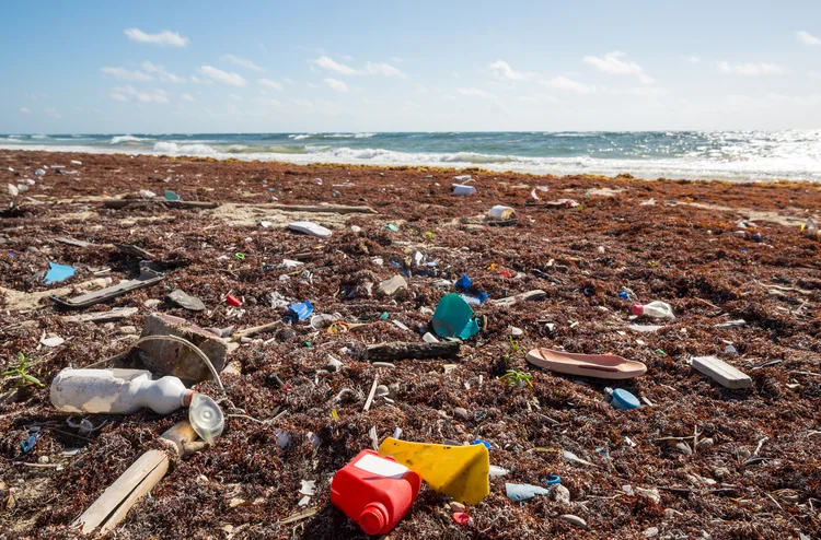 Ecological concept. Beach pollution -trash on sea beach (Divulgação/Envato)