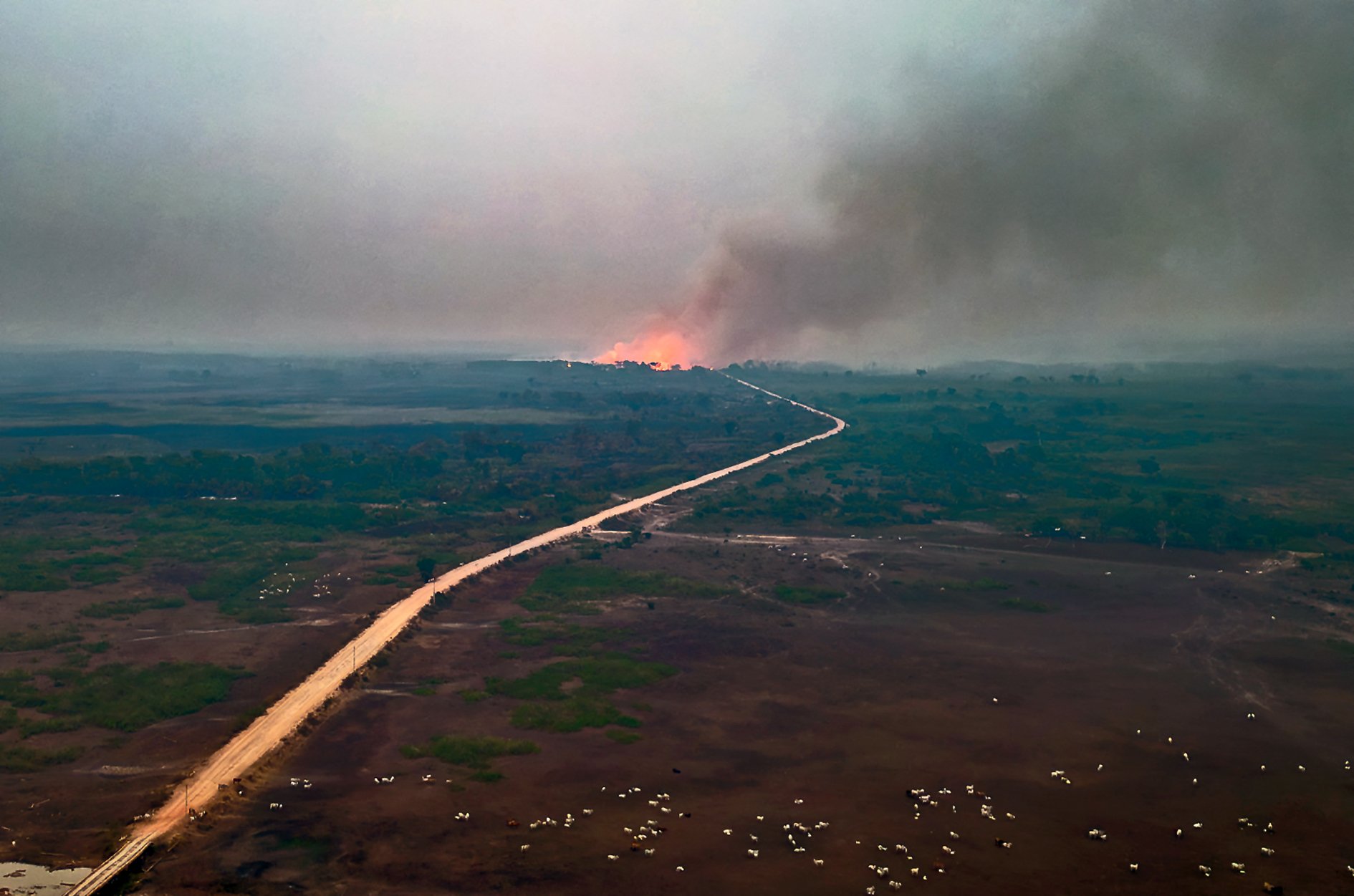 (FILES) An aerial view of a forest fire in the Encontro das Aguas park in the Pantanal wetlands in Porto Jofre, Mato Grosso State, Brazil, on November 19, 2023. The severe drought in much of Brazil, caused by climate change, and the expansion of agricultural crops are the main reasons for the record number of fires in the Pantanal region, according to Brazilian physicist Paulo Artaxo. (Photo by ROGERIO FLORENTINO / AFP)