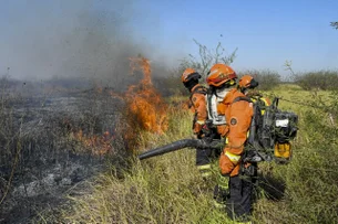 Mato Grosso do Sul decreta estado de emergência por causa de incêndios no Pantanal