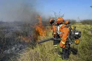 Imagem referente à matéria: Mato Grosso do Sul decreta estado de emergência por causa de incêndios no Pantanal