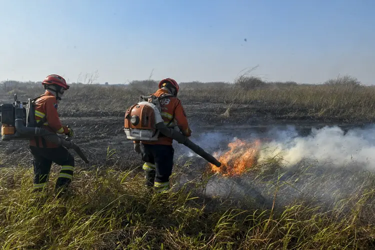 Incêndio no Mato Grosso do Sul, Pantanal (AFP Photo/AFP Photo)