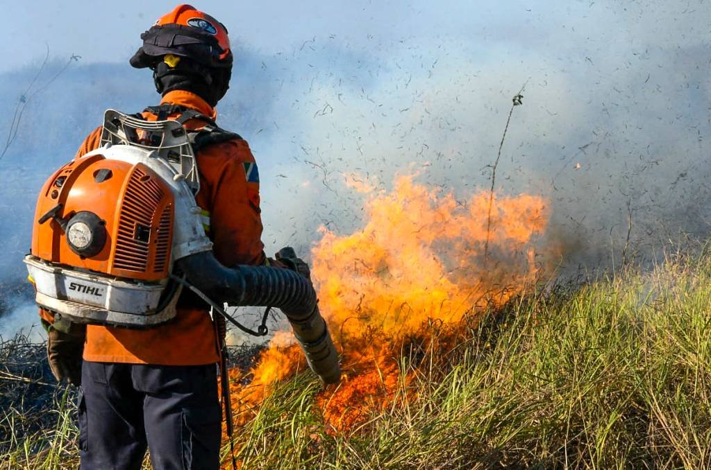 Pantanal foi o bioma que mais secou desde 1985, com 61% menos água no território