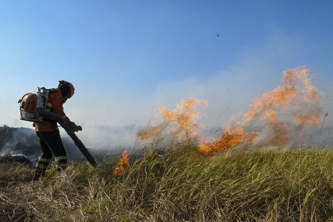 Plano Clima do Brasil e propostas sobre os biomas entram em fase de debate