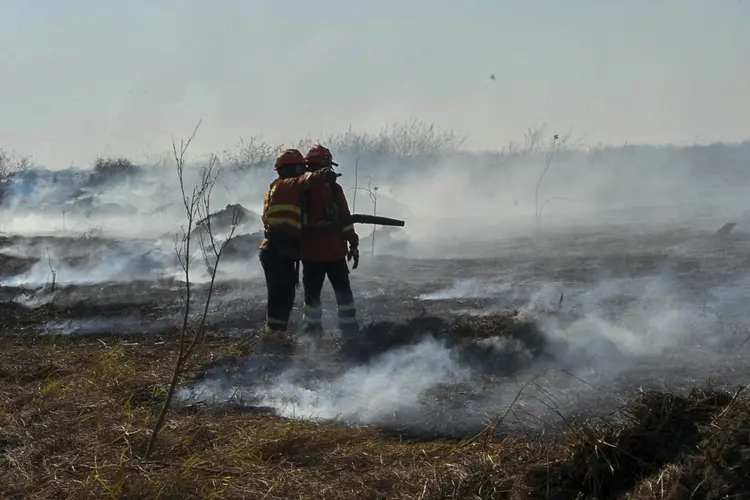  Bombeiros lutando para controlar um incêndio florestal no Bioma Pantanal, na região de Corumbá, Estado de Mato Grosso do Sul, Brasil, em 23 de junho de 2024 (AFP Photo/AFP Photo)