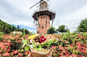 Quando começa a primavera em 2025? Saiba a data e o horário