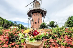Imagem referente à matéria: Quando começa a primavera em 2025? Saiba a data e o horário