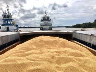 Imagem referente à matéria: BNDES anuncia R$ 160 milhões para empresa de transporte hidroviário de grãos no Pará