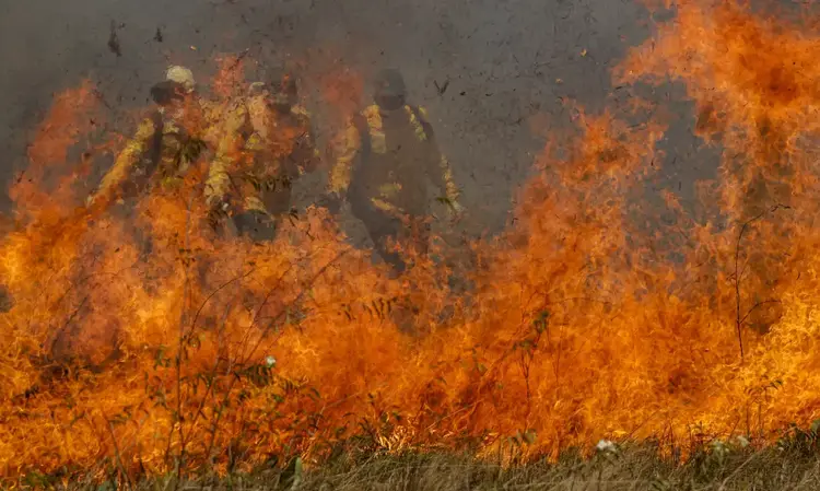 Segundo as informações mais recentes do Corpo de Bombeiros, há 26 incêndios florestais sendo combatidos (Joedson Alves/Agência Brasil)