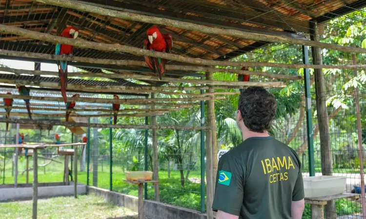 Ibama realiza concurso com vagas em todos os estados do Brasil  (Ibama/Divulgação)