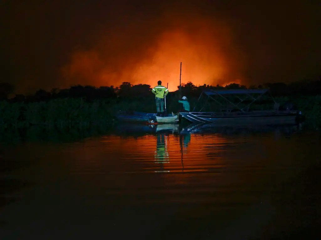 Pantanal tem 238 focos de queimadas em um único dia - são quase 10 por hora