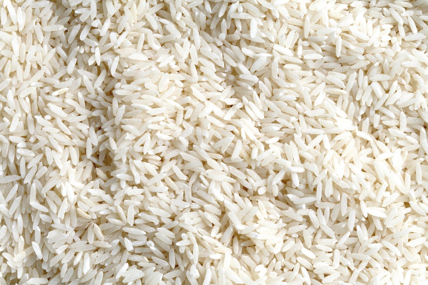 Governo Lula anula leilão para compra de arroz importado