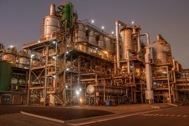 Tamanho: BP passará a ter capacidade para produzir cerca de 50 mil barris por dia de etanol equivalente a partir da cana-de-açúcar por meio das 11 unidades agroindustriais da BP Bunge Bioenergia, em cinco estados (Divulgação)