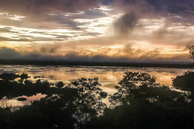 Floresta Amazônica: a preservação alia um olhar de futuro a ganhos financeiros mais imediatos (Leandro Fonseca/Exame)