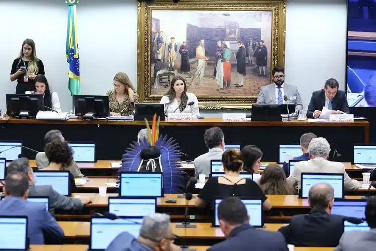 CCJ da Câmara realiza sessão (Vinicius Loures/Câmara dos Deputados/Divulgação)