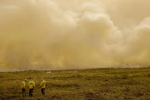 Imagem referente à matéria: Queimada no Pantanal persiste mesmo após proibição de manejo do fogo