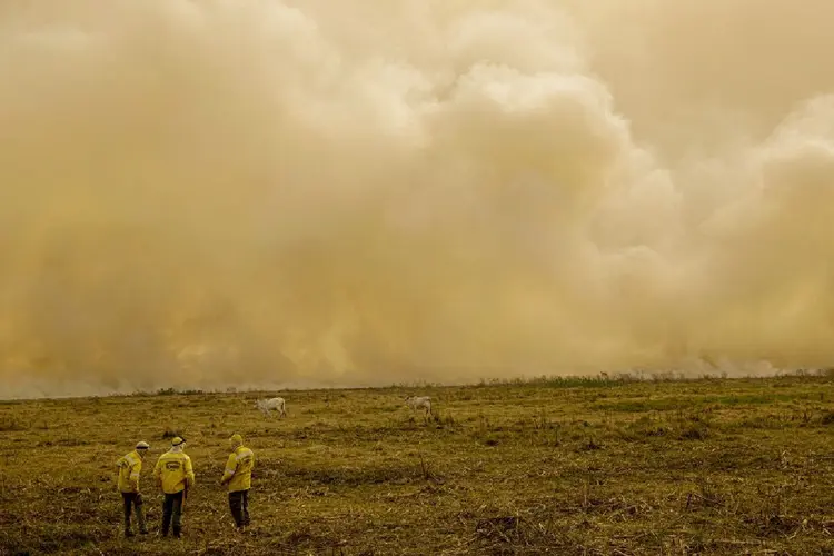 Incêndios atingem o Pantanal (Joédson Alves/Agência Brasil)