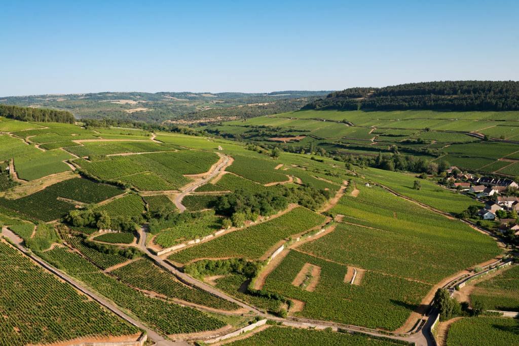 A estratégia (quase) secreta da Grand Cru para fazer o brasileiro beber mais vinho da Borgonha