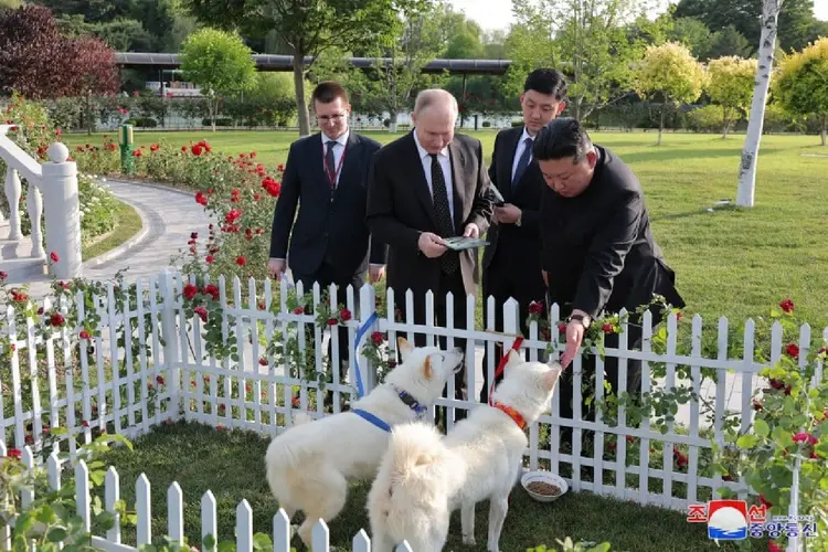 Kim Jong-un e Vladimir Putin brincam com cachorros da raça pungsan (KCNA/Divulgação)