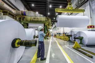 Suzano reverte prejuízo e lucra R$ 5 bilhões no segundo trimestre de 2025