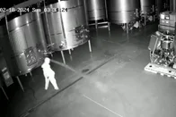 Imagem referente à notícia: Após ser demitida, ex-funcionária derrama 60 mil litros de vinho no chão