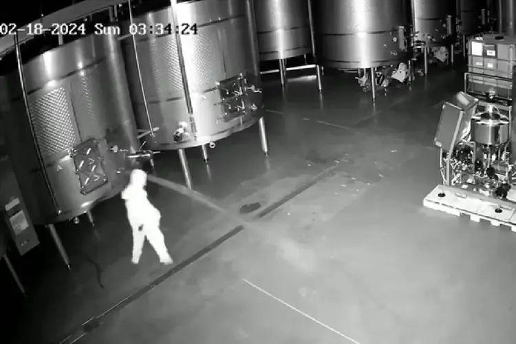 Câmeras de segurança gravaram a ex-funcionária sabotando a vinícola. (Reprodução)