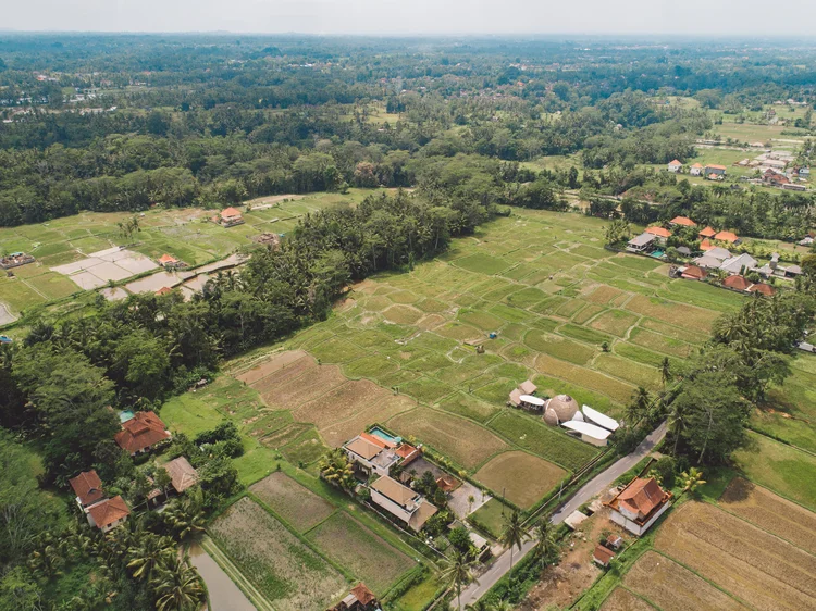CCIR 2025: só com o documento é possível transferir, arrendar, hipotecar, desmembrar, partilhar (em caso de divórcio ou herança) o imóvel rural, além de acessar financiamentos bancários para investimento na propriedade. (Freepik)