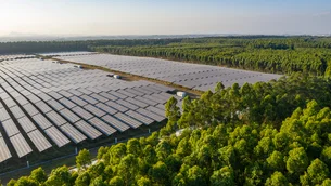 Melhores e Maiores 2024: líder em receita no ranking, setor energético aposta em fontes limpas