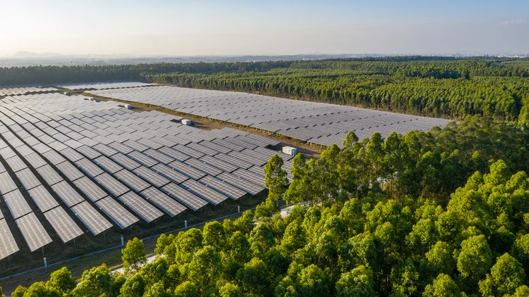 Estudo feito pela consultoria McKinsey, em 2022, aponta que o Brasil tem grande potencial para a geração de energia solar e eólica (Envato)