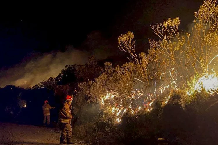 Área é estimada em 150 hectares; dificuldade de acesso prolonga ação (Divulgação/Corpo de Bombeiros RJ)