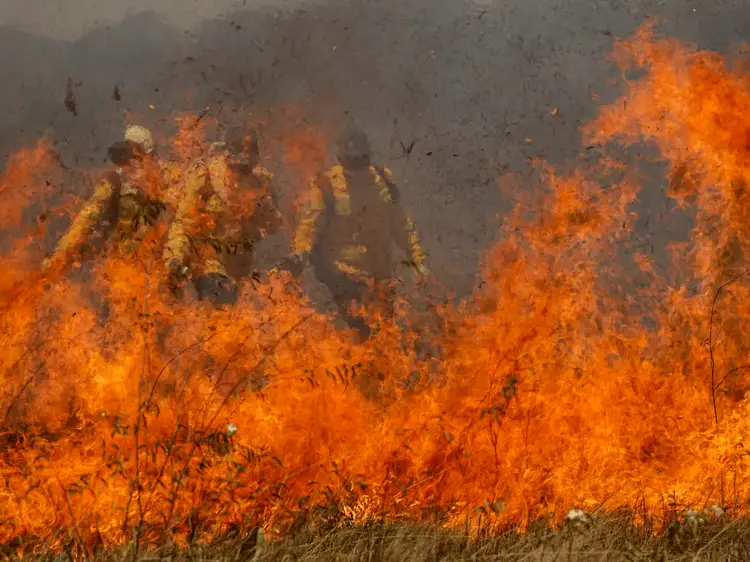 Até 17 de julho, o Brasil atingiu 43.100 focos de incêndio, contra 28.500 no mesmo período de 2023 (Joédson Alves/Agência Brasil)