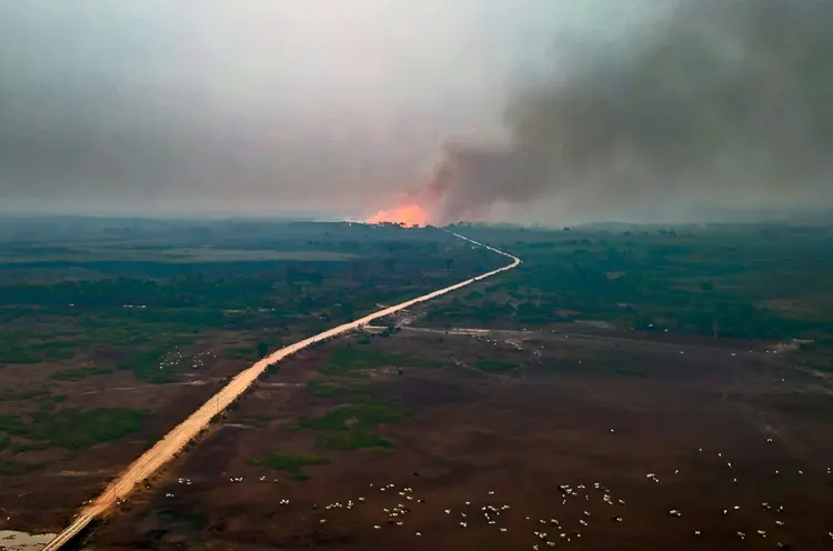 Origem: "Basicamente todos esses incêndios são focados na expansão da agricultura", diz Artaxo (AFP/AFP Photo)