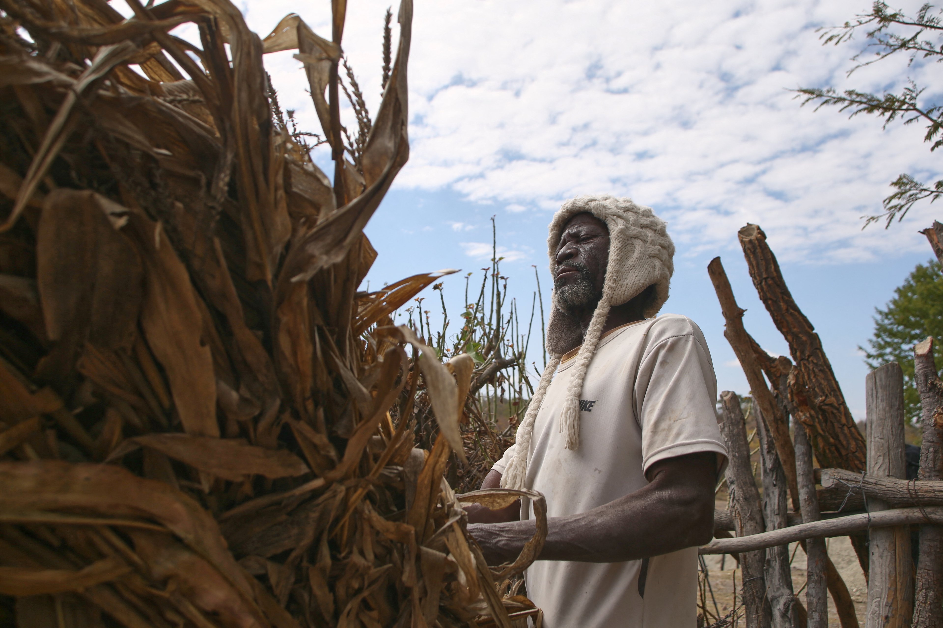 Seca deixa milhões de pessoas sem alimentos no Zimbábue