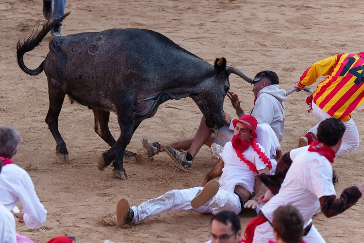 Um participante é atingido por uma jovem vaca após o "encierro" (corrida de touros) do festival de San Fermín em Pamplona, no norte da Espanha, em 7 de julho de 2024. (Foto de CESAR MANSO / AFP (Cesar Manso/AFP)