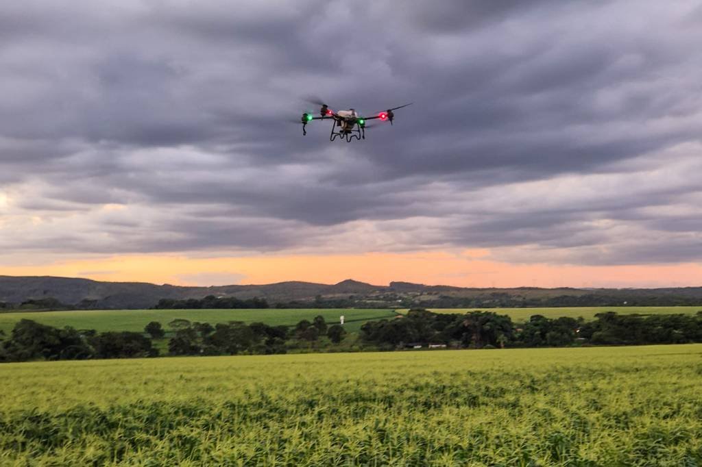 A Fugini pode aproveitar 3,5% a mais de área plantada — e os drones são os responsáveis
