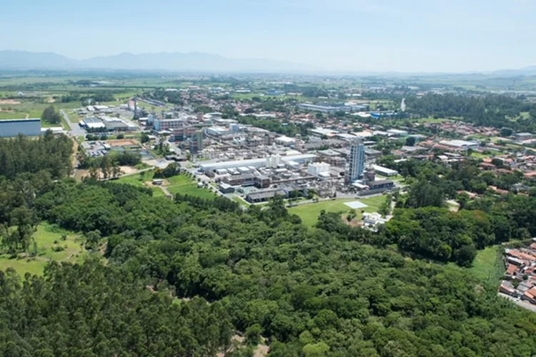 Na cidade de Guaratinguetá, em São Paulo, empresa cultivou 350 mil mudas nativas (BASF/Divulgação)