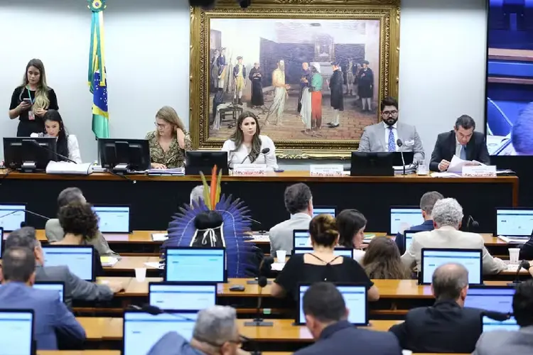 CCJ da Câmara dos Deputados, em Brasília (DF) (Vinicius Loures/Câmara dos Deputados/Divulgação)