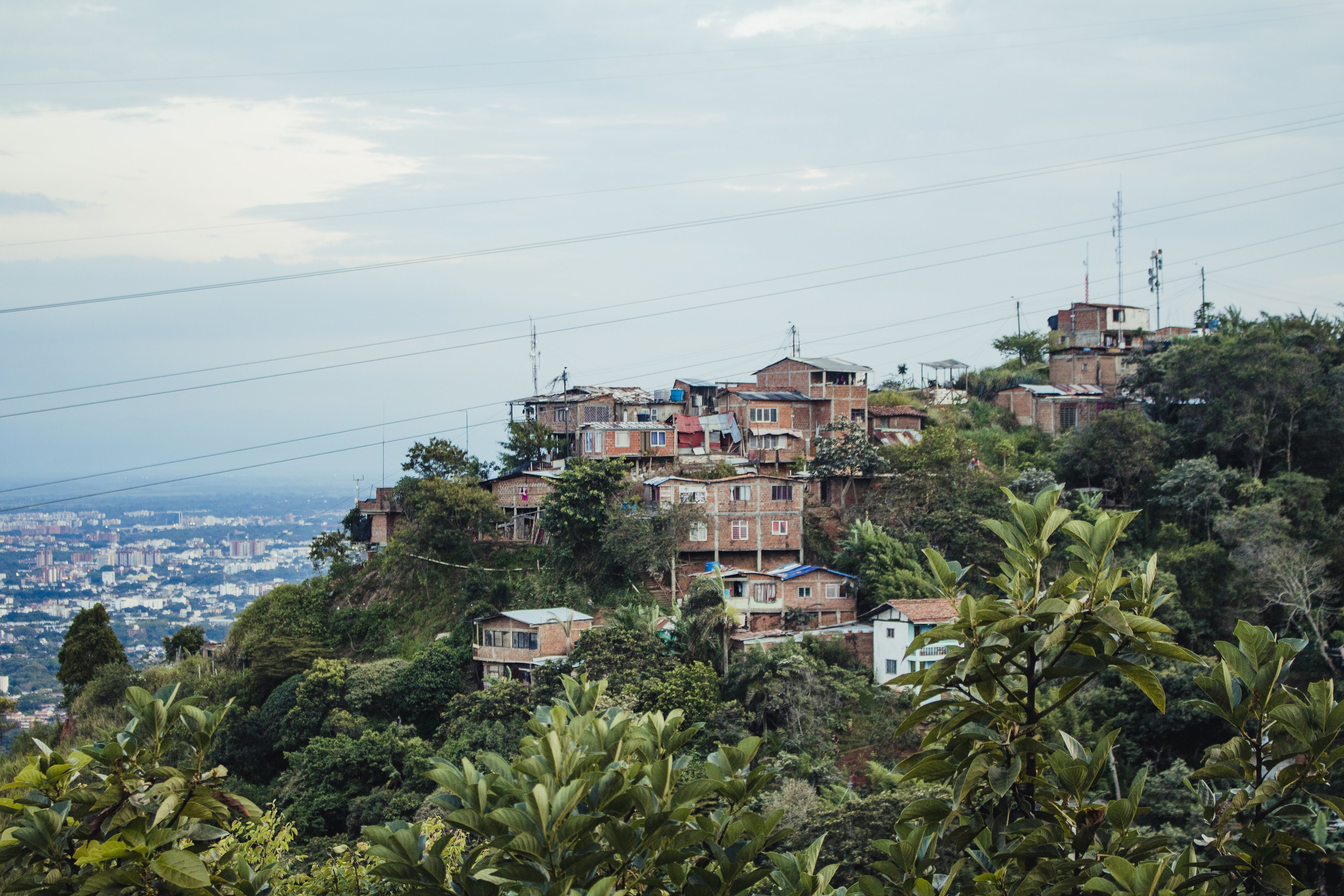 COP da biodiversidade, na Colômbia, é ameaçada por dissidentes das Farc