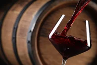 Imagem referente à notícia: Os 16 melhores vinhos brasileiros avaliados em concurso internacional