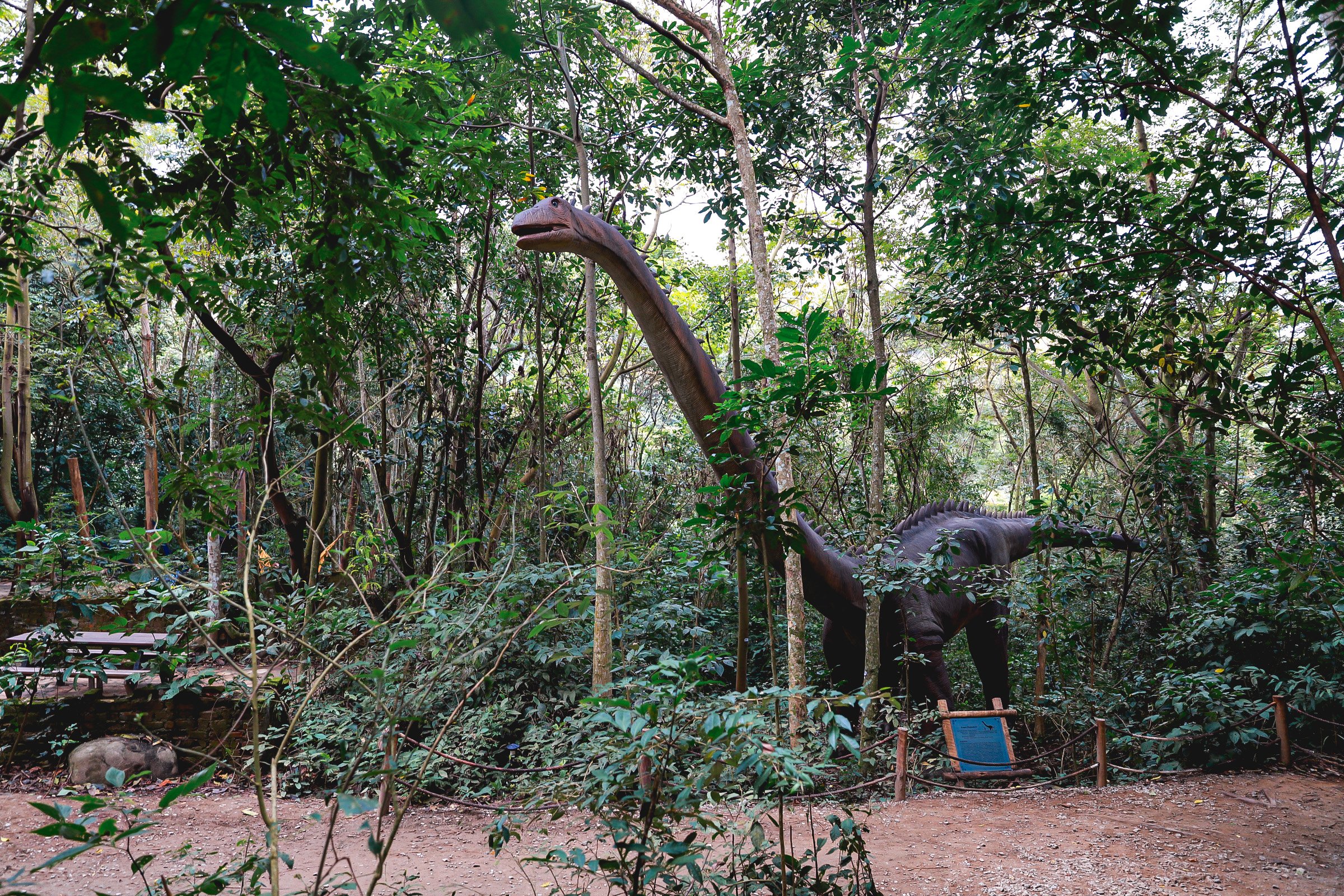 O parque 'Terra dos Dinos' vai ganhar duas novas unidades nos próximos meses