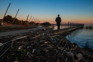 Maioria dos brasileiros estão apreensivos com o clima e otimistas com a IA, diz estudo da Ipsos