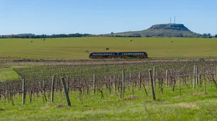 Trem do Pampa: novo passeio no RS oferece paisagens deslumbrantes e degustação de vinho