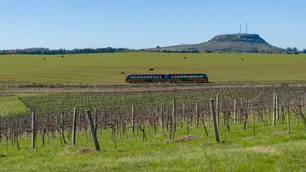 Imagem referente à matéria: Trem do Pampa: novo passeio no RS oferece paisagens deslumbrantes e degustação de vinho