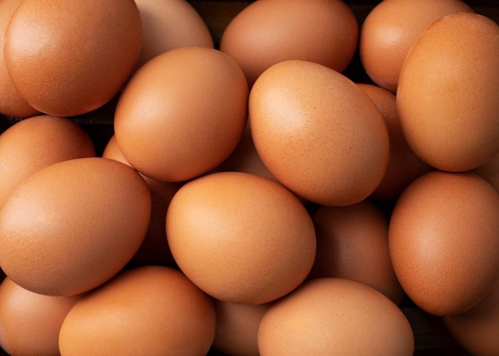 Ovos: exportações aumentam 18% em junho e podem crescer ainda mais, avalia Cepea