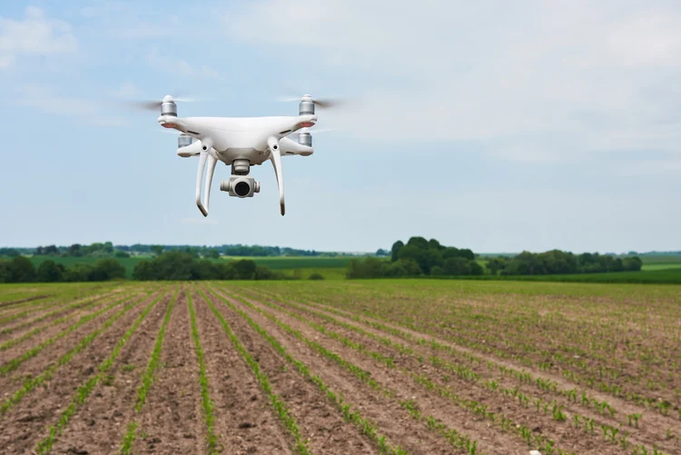 drone quad copter with high resolution digital camera on green corn field, agro (Freepik/Freepik)
