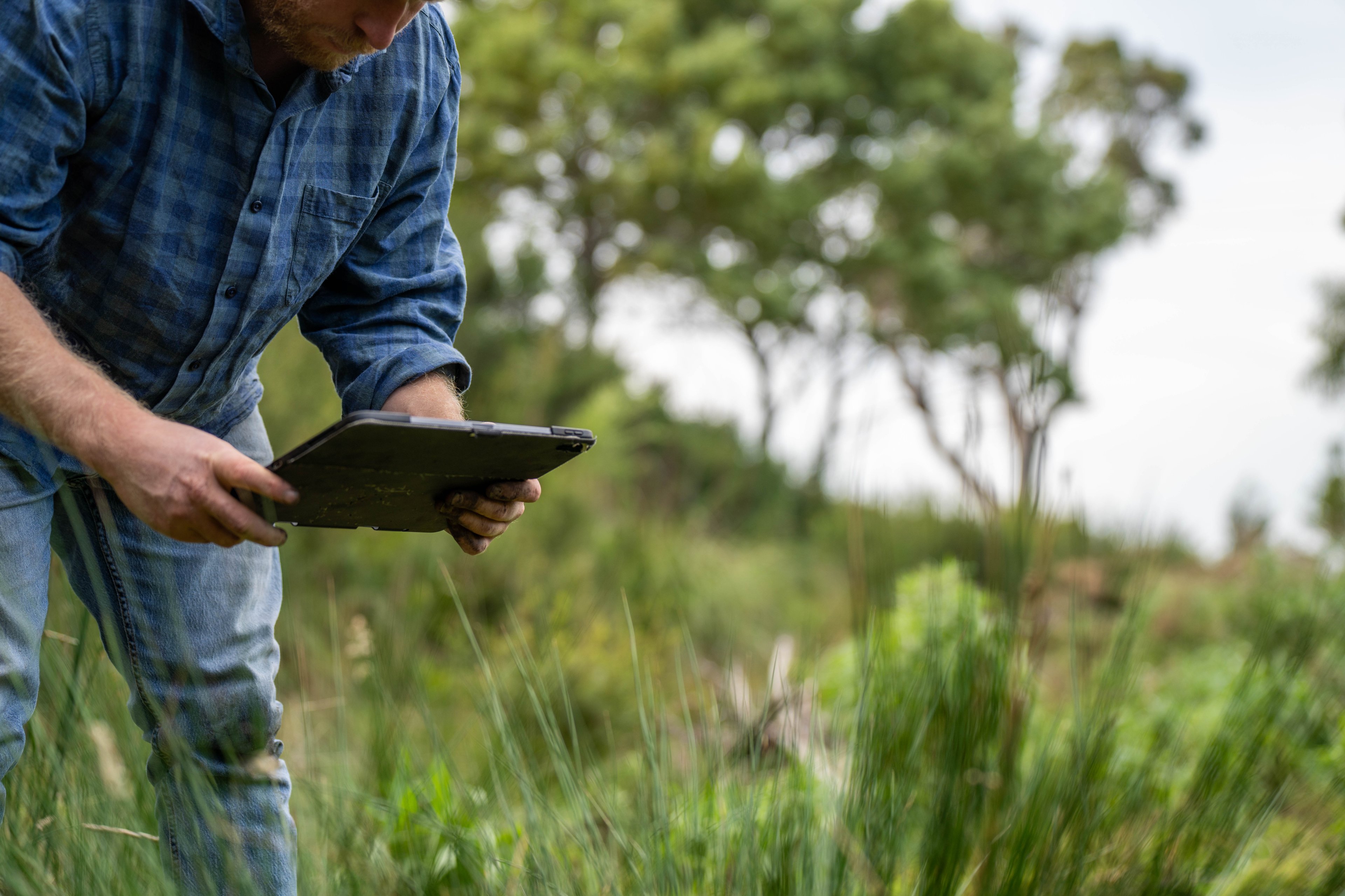 Cadastro Ambiental Rural (CAR): o que é e como emitir