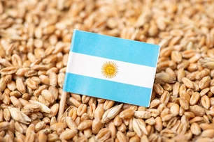 Imagem referente à matéria: Argentina: falta de chuvas afeta plantio do trigo e afasta possibilidade de safra recorde