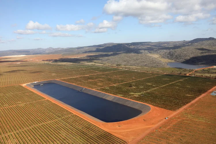 Fazenda de café da Cedro Agropec na Serra do Cabral usa tecnologias de ponta para tornar o processo produtivo mais sustentável. (Luis Tajes/Divulgação)