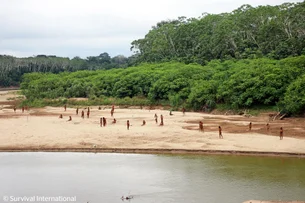 Fotos raras mostram tribo isolada na Amazônia peruana